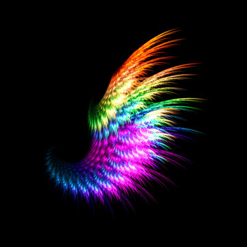 a picture of colorful wings