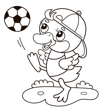 Coloring Page Outline Of cartoon duck or duckling with soccer ball. Football. Sport. Coloring Book for kids.
