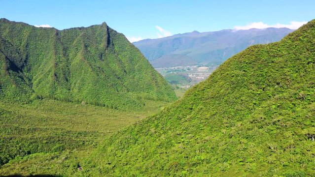 Aerial view of forest and mountains, Col de Bebour, Reunion Island.
