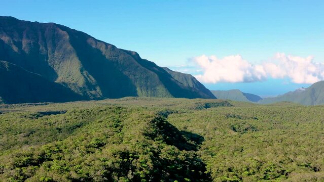Aerial view of forest and mountains, Col de Bebour, Reunion Island.