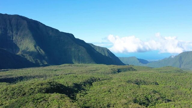Aerial view of forest and mountains, Col de Bebour, Reunion Island.