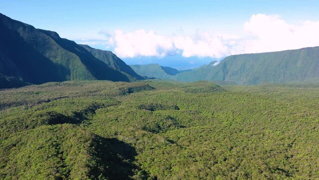 Aerial view of forest and mountains, Col de Bebour, Reunion Island.