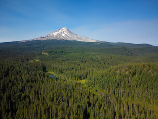 Fototapeta premium Beautiful landscape. Hilly country, a meadow covered with green grass and a large mountain in the distance, covered with snow. Blue cloudless sky. The beauty of nature, travel.
