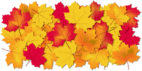 Naklejka na ściany i meble Autumn colorful leaves. Background, decoration.