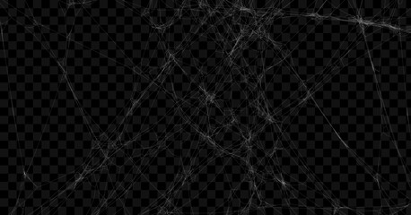 Realistic spider web background texture. Hanging cobweb for halloween design. Vector illustration.