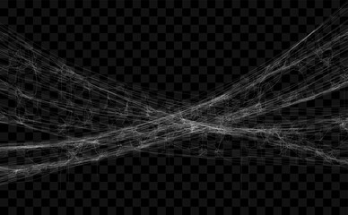Realistic spider web. Hanging cobweb for halloween design. Vector illustration.