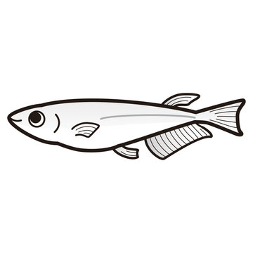 recommend clip art: シンプルなメダカのイラスト