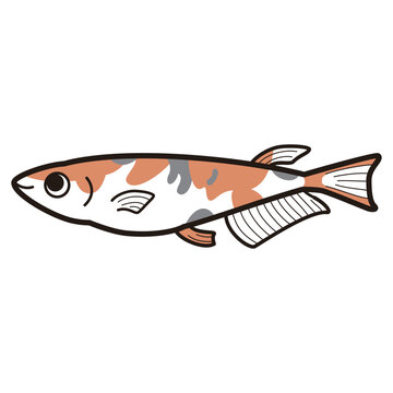 recommend clip art: シンプルなメダカのイラスト