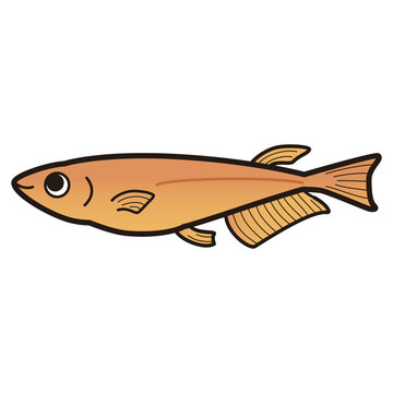 recommend clip art: シンプルなメダカのイラスト