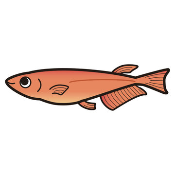 recommend clip art: シンプルなメダカのイラスト