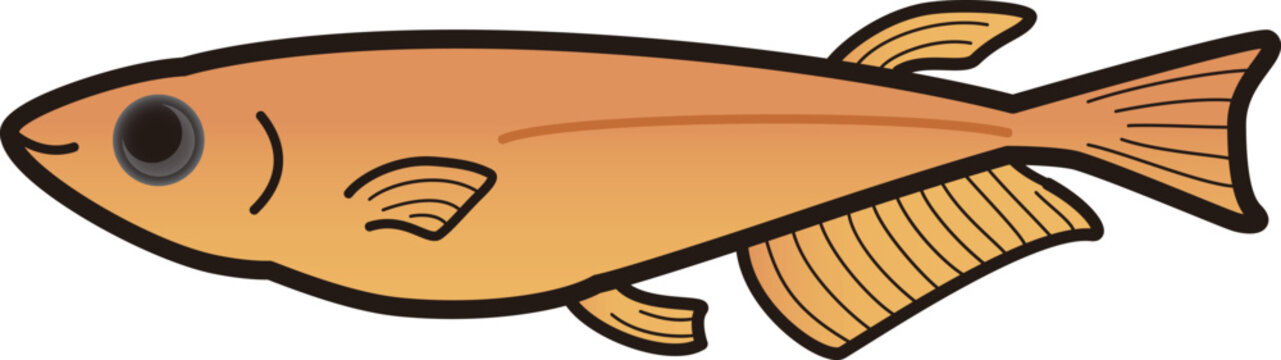 recommend clip art: シンプルなメダカのイラスト