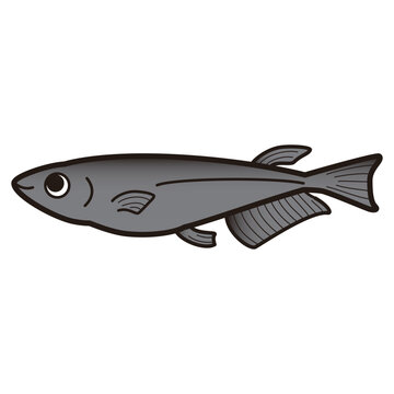 recommend clip art: シンプルなメダカのイラスト