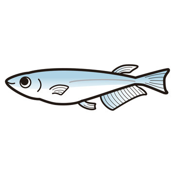 recommend clip art: シンプルなメダカのイラスト