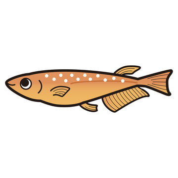 recommend clip art: シンプルなメダカのイラスト