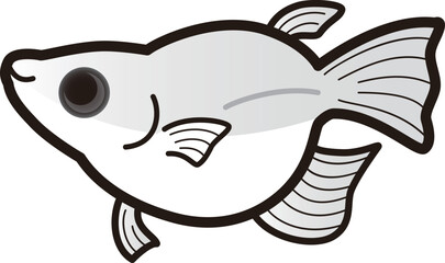 シンプルなダルマメダカのイラスト