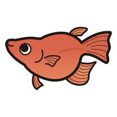 シンプルなダルマメダカのイラスト