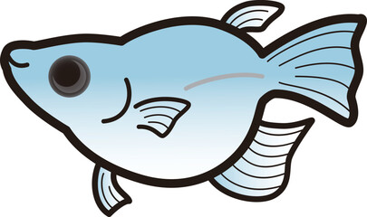 シンプルなダルマメダカのイラスト