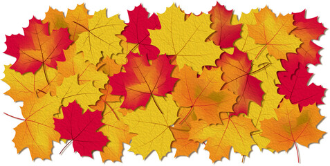 Fototapeta premium Background, decoration. Autumn colorful leaves.