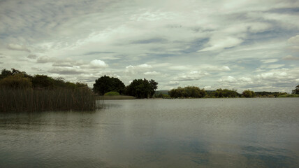 lago con arboles 