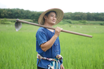Asian man farmer is at paddy field, wears hat, blue shirt and holds a hoe on his shoulder. Concept organic farming. No chemical. Using traditional manual tool in stead of use herbicide. Zero pollution - obrazy, fototapety, plakaty