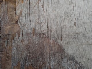 The texture of the old wood with a beautiful pattern , blank