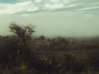 paisaje de m&eacute;xico