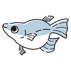 シンプルなダルマメダカのイラスト