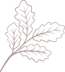 leaf hand drawn