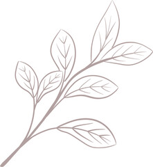 leaf hand drawn