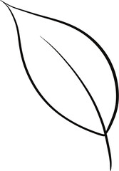 leaf hand drawn