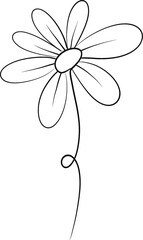 flower lines hand drawn