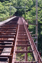 廃線の鉄橋 K3CP6338