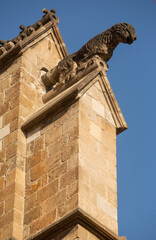 Fototapeta na wymiar Details of exterior of Barcelona Cathedral