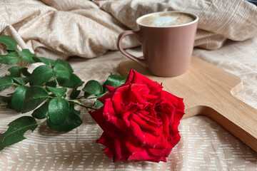 A large garden red rose is lying on the bed next to a cappuccino mug on a wooden tray. Good festive...