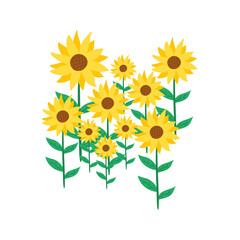 Fototapeta premium hand drawn sun flower