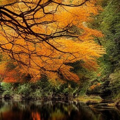 autumn in the forest