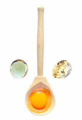 Quail egg, shell and egg yolk on wooden spoon, isolated on white background