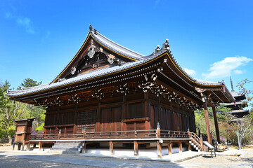 春の京都市の世界文化遺産仁和寺の観音堂