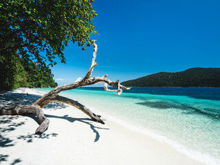 Scenic view of Koh Ra Wi Island white sand beach, clear turquoise sea against clear summer blue sky with iconic dead tree trunk. Near Koh Lipe Island, Tarutao National Marine Park, Satun, Thailand.