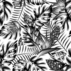 vintage jungel background seamless pattern with gray monochromatic tropical monstera palm leaves and abstract flower plant foliage on white background. Floral background. Exotic tropic. Summer. spring