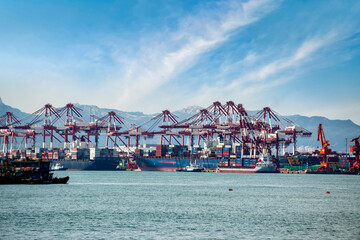Dock cranes loading containers, trade port, shipping
