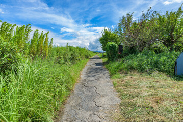View of the Yamanobe-no-Michi historic trail pass in Nara, Japan