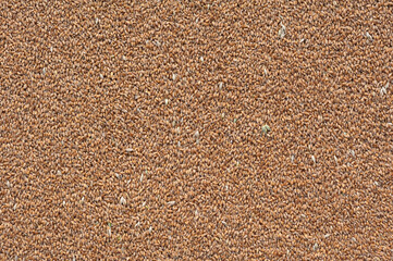 wheat grain surface