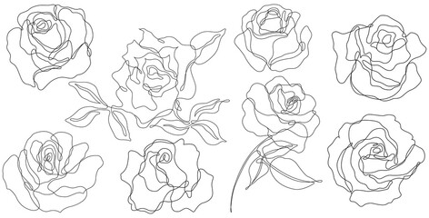 Fototapeta premium Rose flower png. Set of hand drawn sketches. Line Ink drawing.
