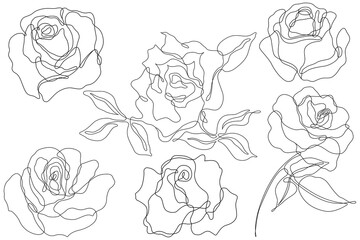 Rose flower png. Set of hand drawn sketches. Line Ink drawing.