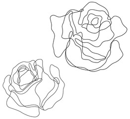Rose flower png. Set of hand drawn sketches. Line Ink drawing.