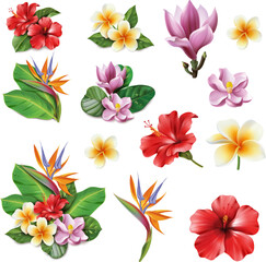 set of flowers | realistic vector flowers