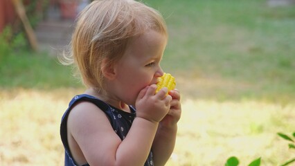 Cute Adorable Caucasian Toddler Girl Greedily Eating Delicious Nutricious Boiled Corn on the Cob