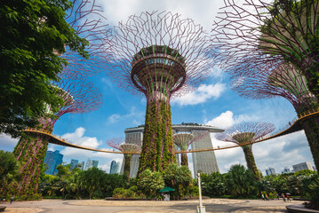 scenery of Gardens by the Bay in singapore - obrazy, fototapety, plakaty