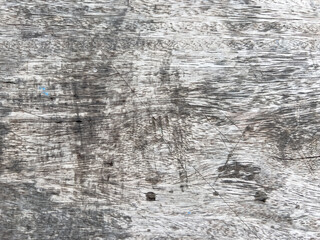 Gray old wood background  The faded wood grain is an old classic.  abstract background.